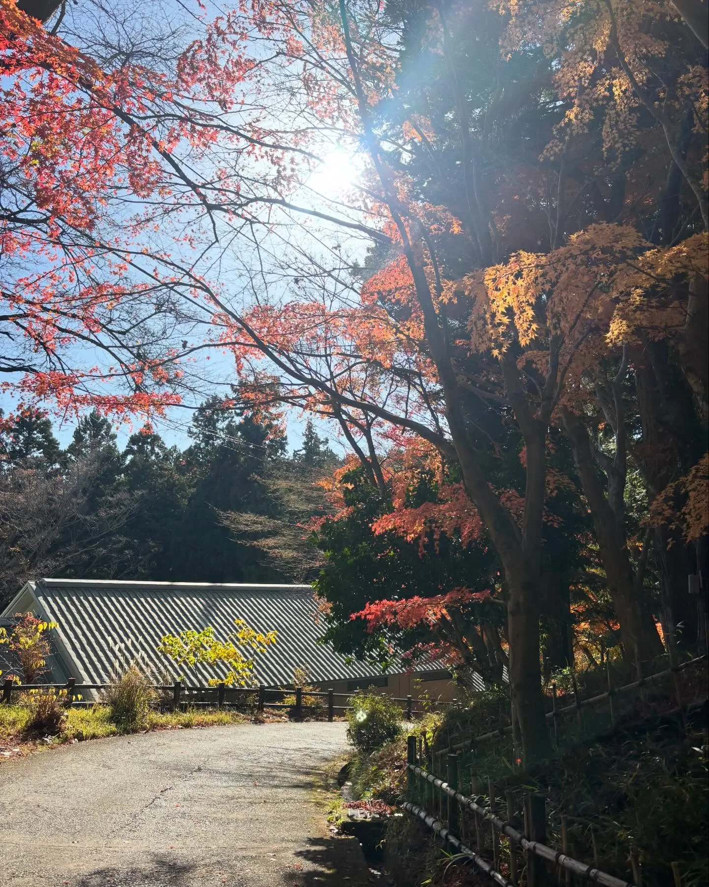 100%の人はいない。